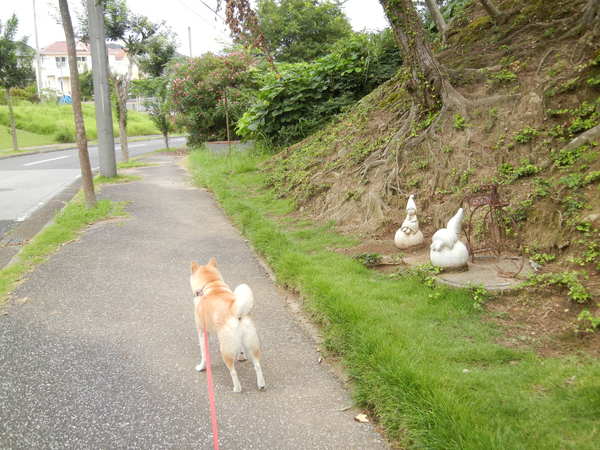 ’13,8,3(土)「さくら橋」の観劇と銀座!_f0060461_1085781.jpg