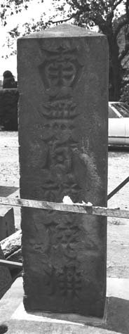 e0018762_94206.jpg