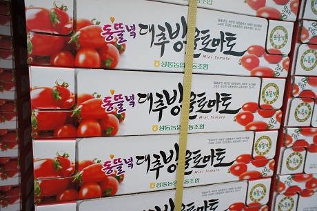 韓国出張 韓方農業編_b0060363_1474387.jpg
