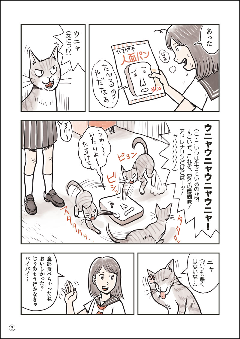 はじマン 4 かわいいノラネコ 地獄のけだまゾーン