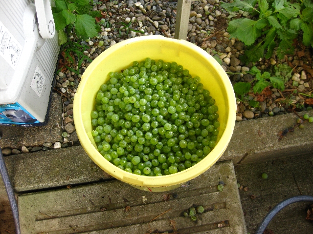 a0138609_15135699.jpg