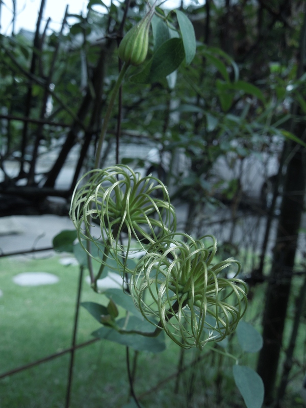 f0297809_2115527.jpg