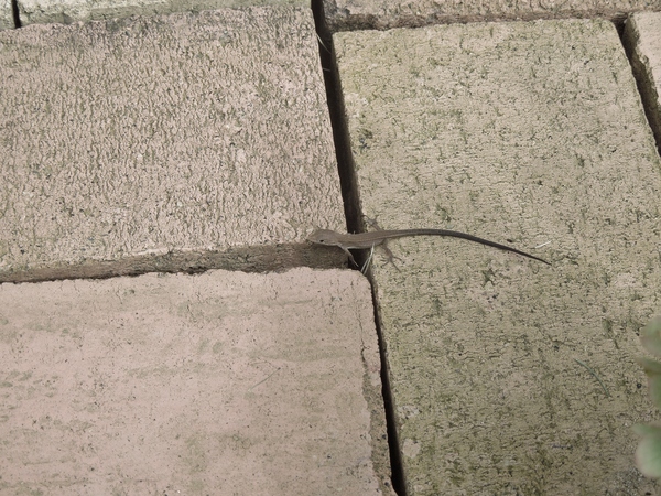 f0297809_216868.jpg