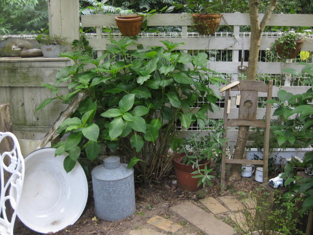c0085916_10351100.jpg