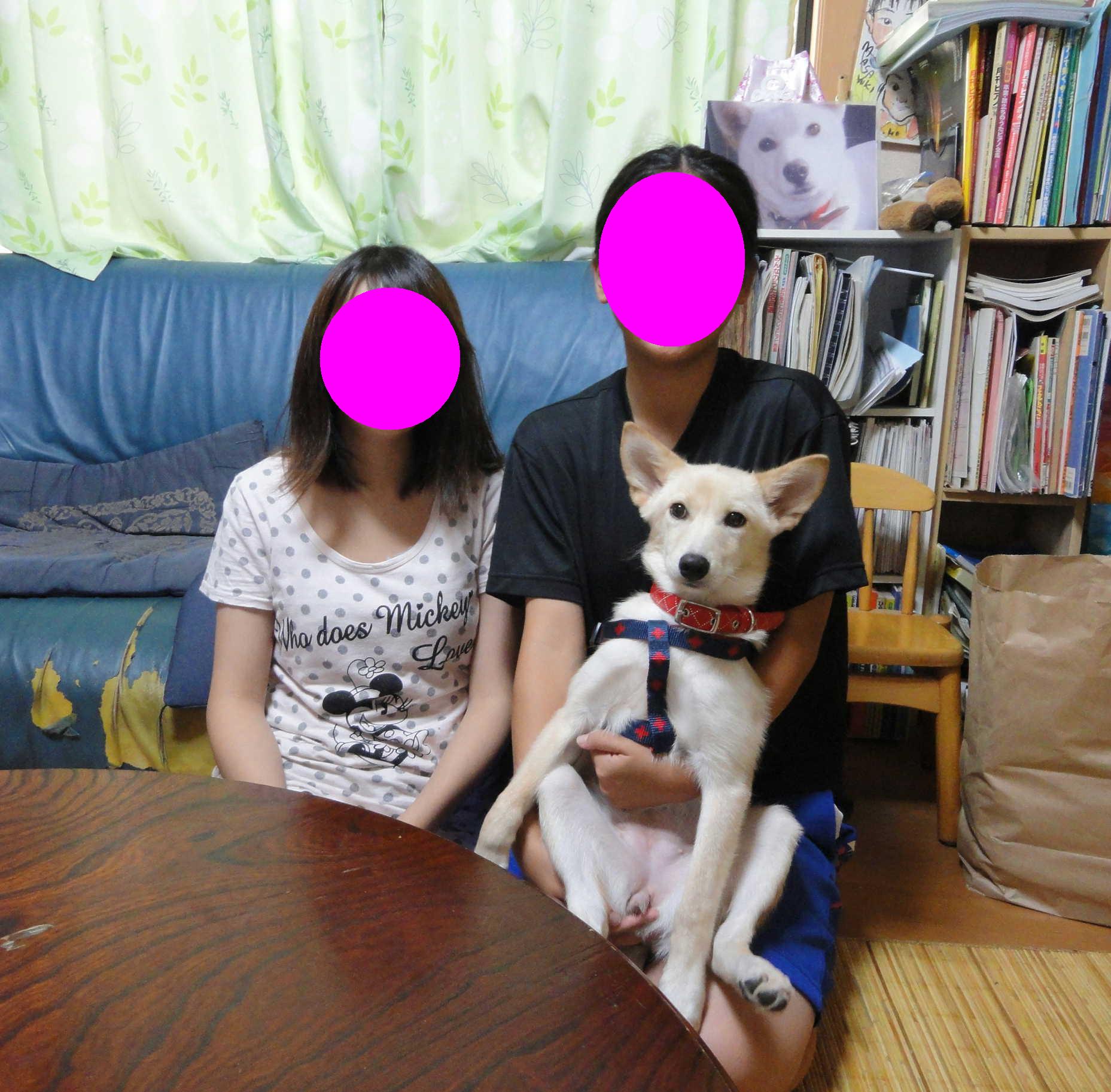 b0207320_2355389.jpg