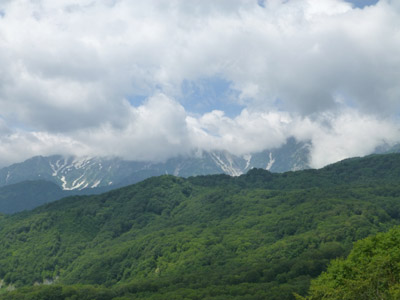 栂池自然園へトレッキング_c0227720_23194338.jpg