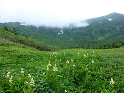 栂池自然園へトレッキング_c0227720_235077.jpg