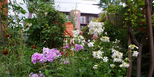 f0170524_16254346.jpg