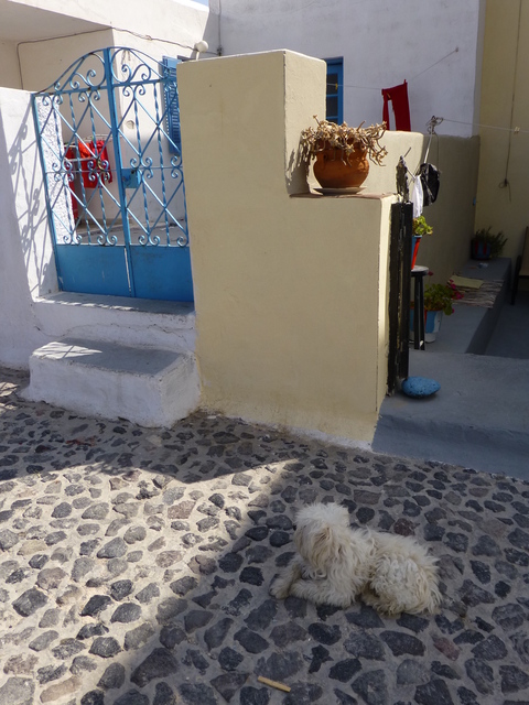 ギリシャ サントリーニ島3日目-2_e0237625_2242255.jpg