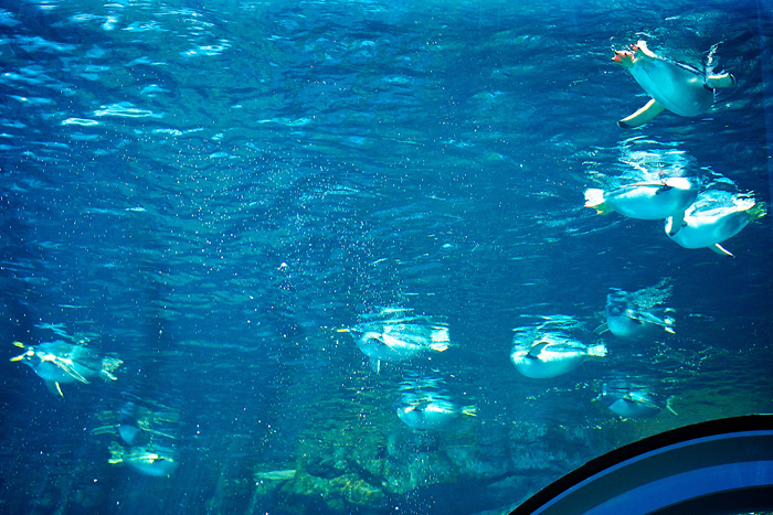c0195828_2323473.jpg