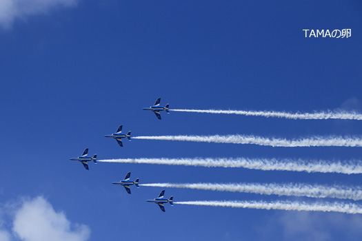 c0024729_19461688.jpg