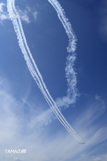 c0024729_19472332.jpg