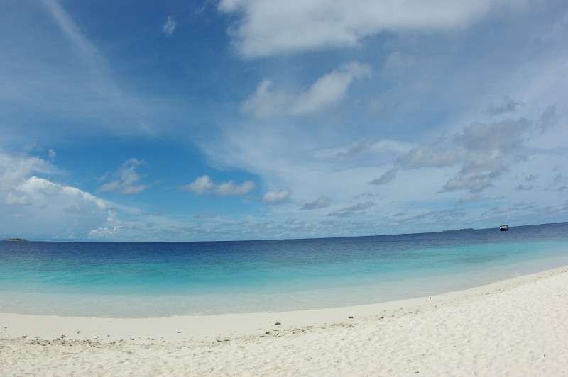 d0079432_21232276.jpg