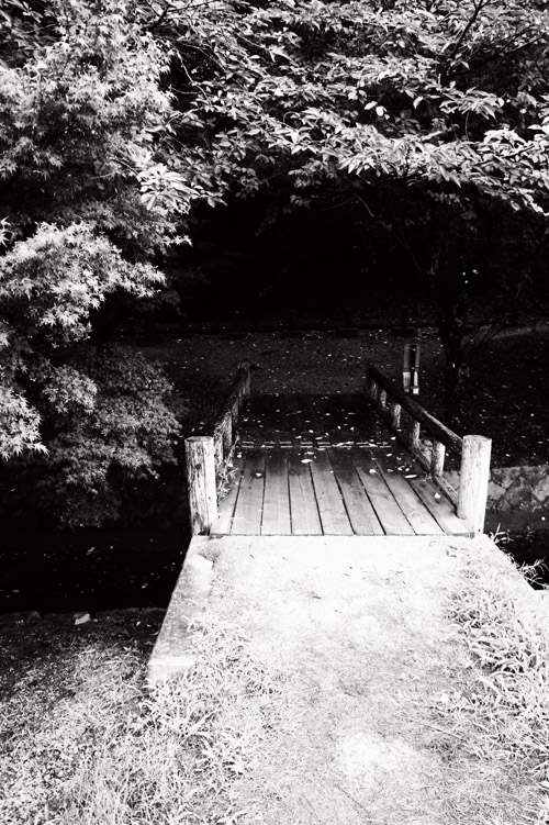 c0280533_21485080.jpg