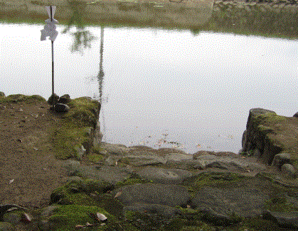 a0237545_958313.gif