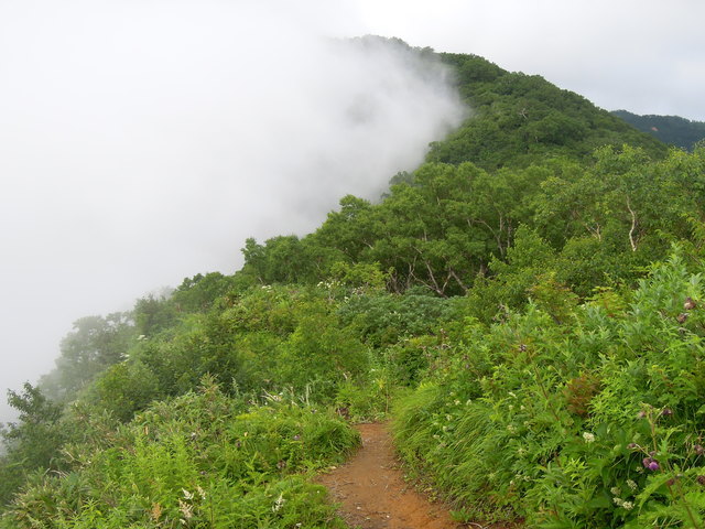 e0329049_19493669.jpg