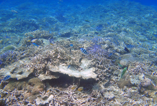 b0288550_17124227.jpg