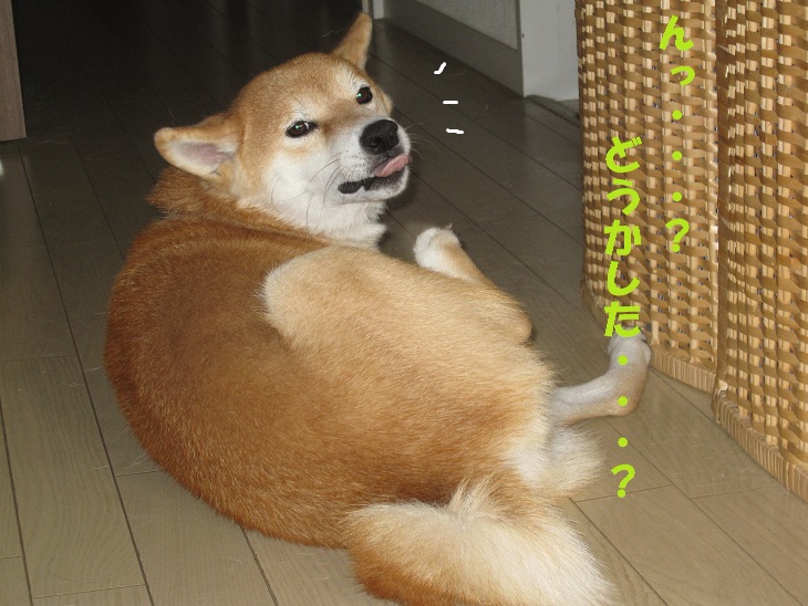 f0245650_8333592.jpg