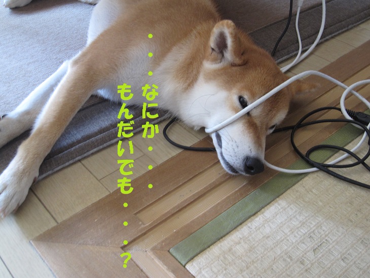 f0245650_8375387.jpg