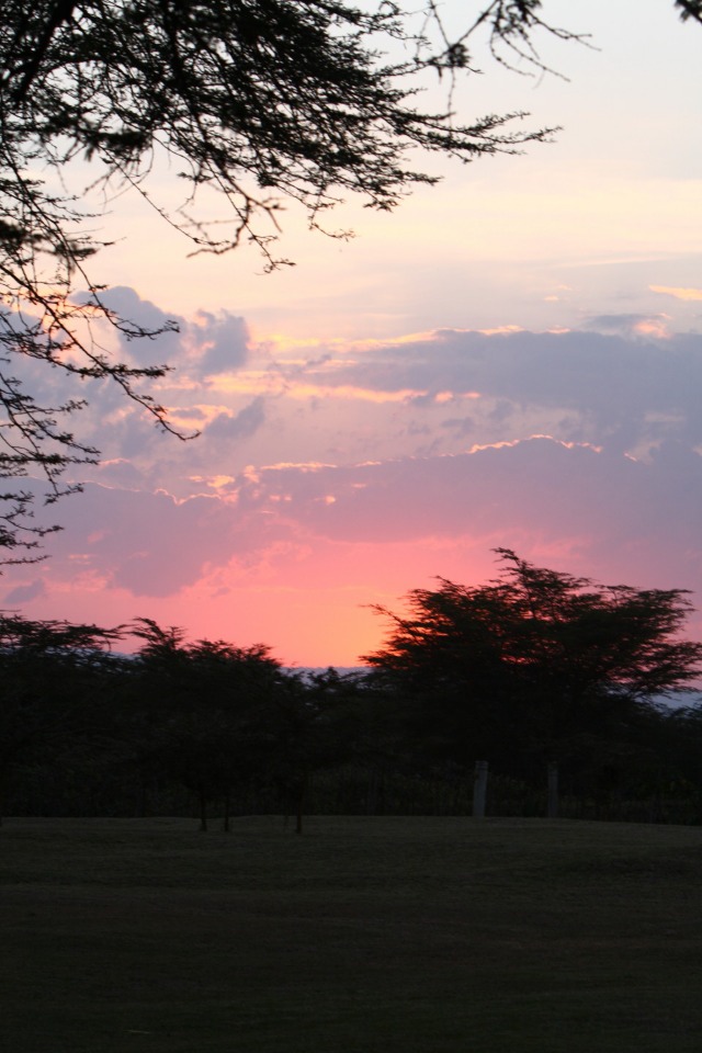 ケニア旅行記　--3日目その3--_b0078651_2333784.jpg