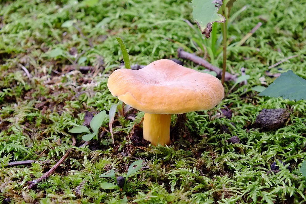 b0236251_1538688.jpg