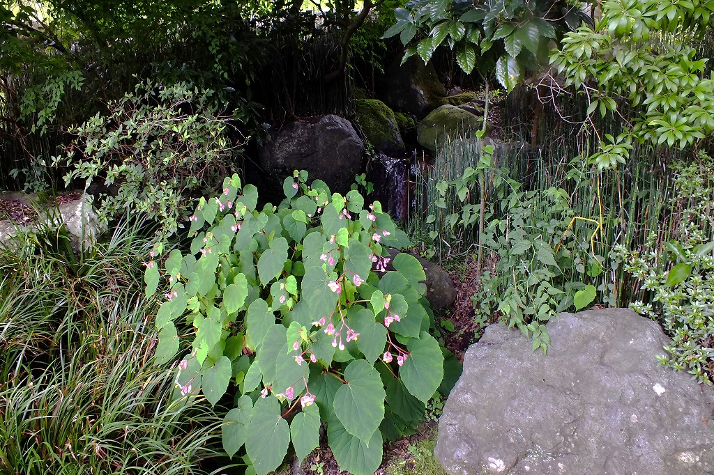 b0236251_1544527.jpg