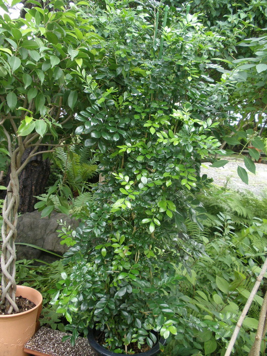 d0150967_23574852.jpg
