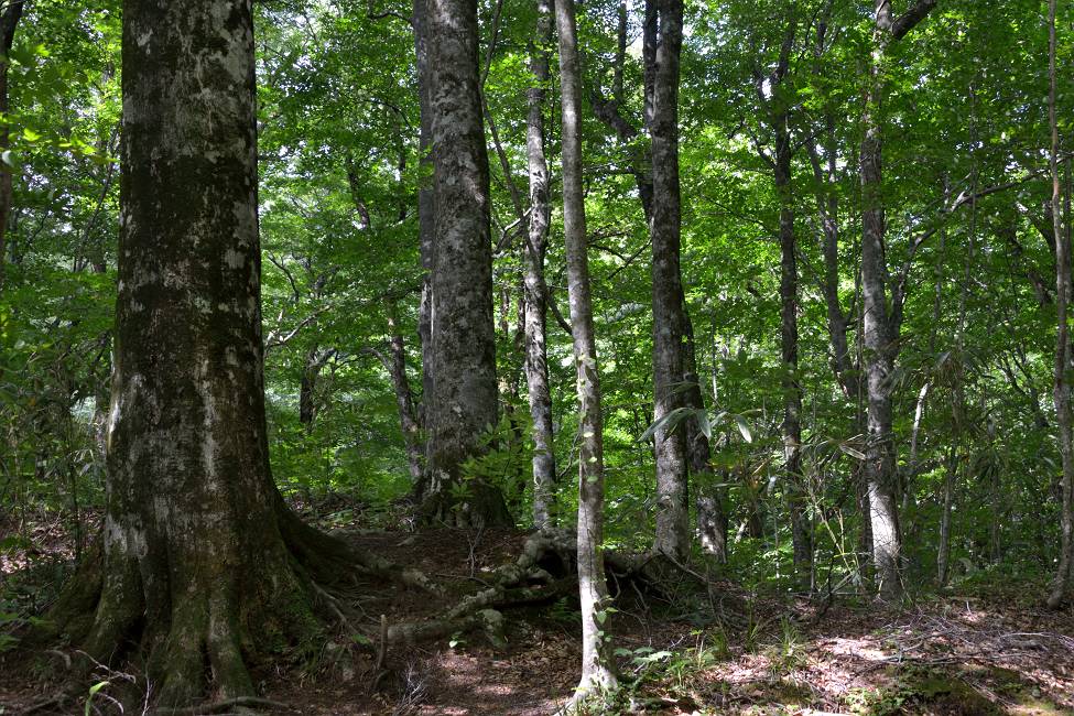 b0223668_55527.jpg