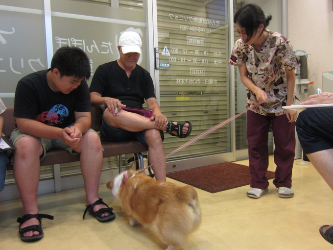 7月のお教室_b0287468_21284693.jpg