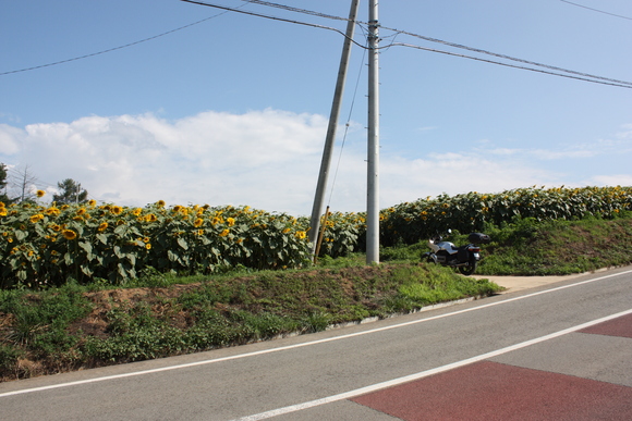 e0180472_2151497.jpg