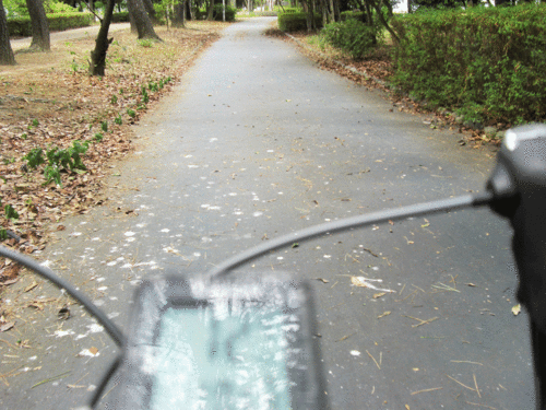c0095679_17295965.gif