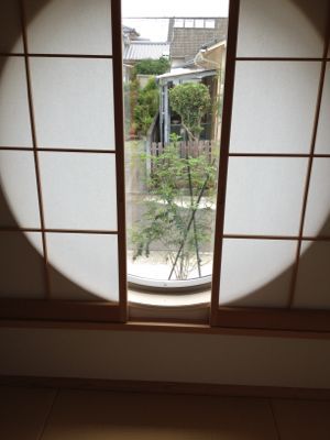 部屋から見える木 家づくり Our Home 部屋から見える木 家づくり Our Home