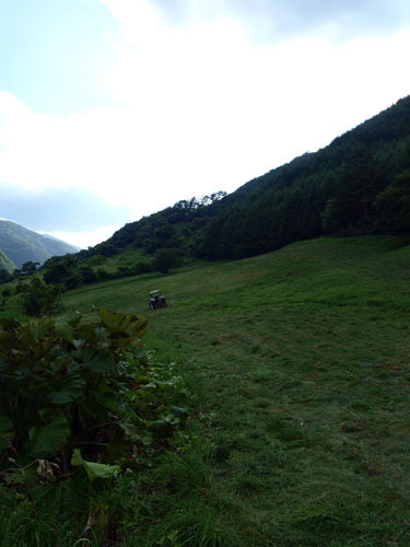 梅雨明け釜津田_f0236291_1014342.jpg