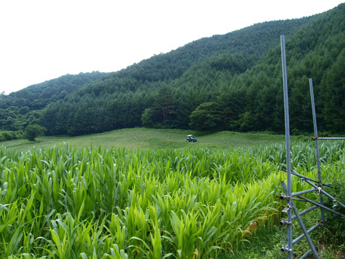 梅雨明け釜津田_f0236291_10364635.jpg