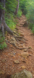 b0099994_11382694.jpg