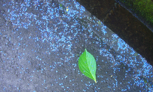 b0099994_1156160.jpg