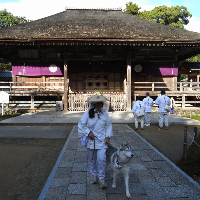 Memory of the second pilgrimage with husky HANA_c0049299_17393143.jpg