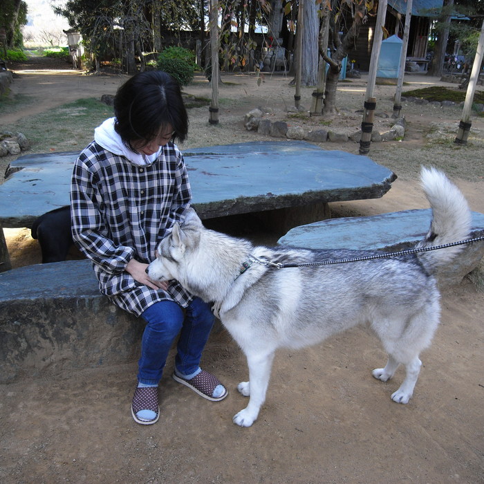 Memory of the second pilgrimage with husky HANA_c0049299_1740744.jpg