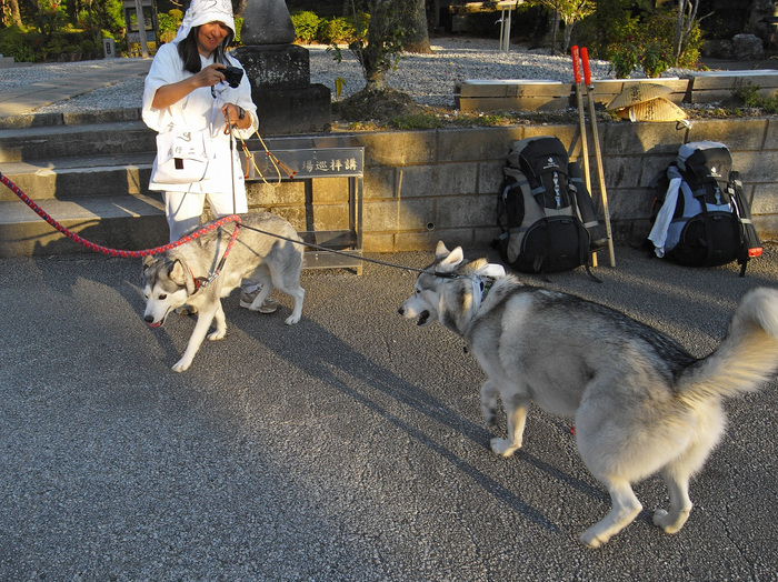 Memory of the second pilgrimage with husky HANA_c0049299_1842535.jpg