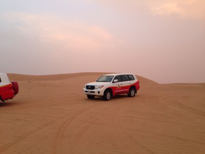ランクル200 ディーゼル 8台追加発注 トミーモータース_b0127002_23155647.jpg