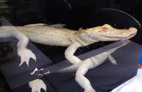 c0165803_1613956.jpg