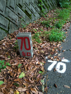 奥武蔵ウルトラ 3回目の完走_a0036808_1617899.jpg