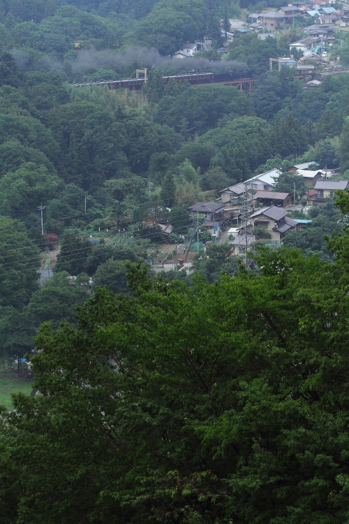 浦山口 夏煙 - 2013年夏・秩父 - _b0190710_22381484.jpg