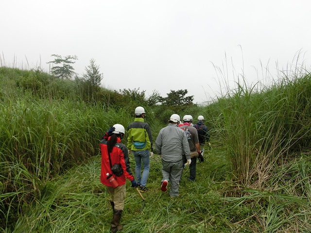 新幹線で参加する人もいる世界遺産・富士山の国有林の下草刈り_f0141310_7244786.jpg