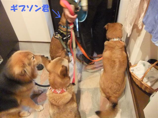 f0121712_14264889.jpg