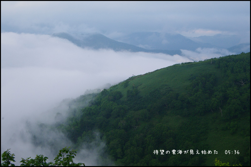 トマム:雲海テラス_b0019313_1826057.jpg