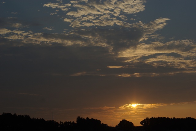 e0111217_17451891.jpg