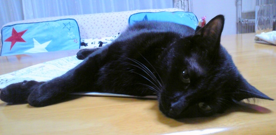 c0280322_1453230.jpg