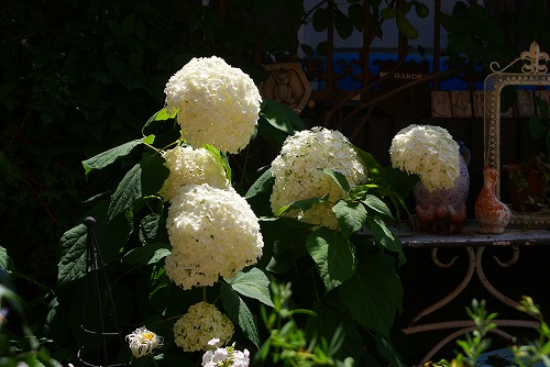 f0170524_1535295.jpg