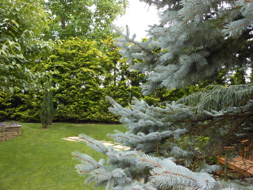 e0240925_8273014.jpg